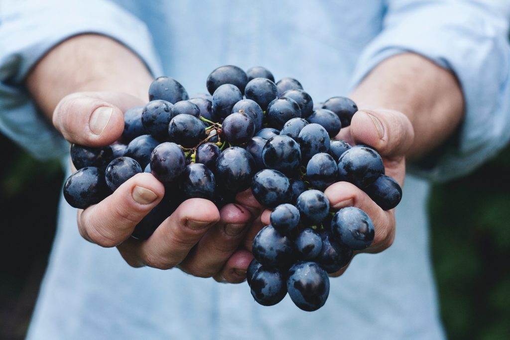 évènement à la guinguette : dégustation de raisin venant d'un producteur local